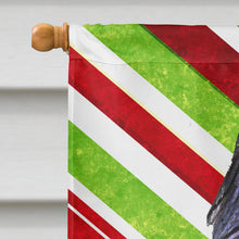 Load image into Gallery viewer, Briard Candy Cane Holiday Christmas Flag Canvas House Size