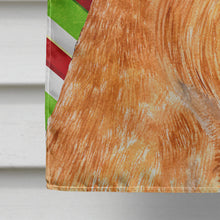 Load image into Gallery viewer, Brussels Griffon Candy Cane Holiday Christmas Flag Canvas House Size