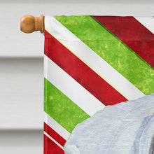 Load image into Gallery viewer, Boxer Candy Cane Holiday Christmas Flag Canvas House Size