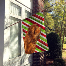 Load image into Gallery viewer, Sussex Spaniel Candy Cane Holiday Christmas Flag Canvas House Size