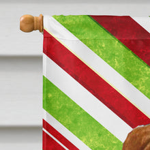 Load image into Gallery viewer, Sussex Spaniel Candy Cane Holiday Christmas Flag Canvas House Size