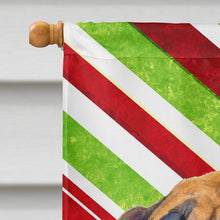 Load image into Gallery viewer, Mastiff Candy Cane Holiday Christmas Flag Canvas House Size