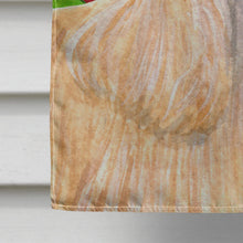 Load image into Gallery viewer, Cocker Spaniel Candy Cane Holiday Christmas Flag Canvas House Size