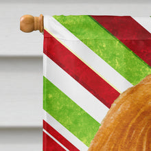 Load image into Gallery viewer, Cavalier Spaniel Candy Cane Holiday Christmas Flag Canvas House Size