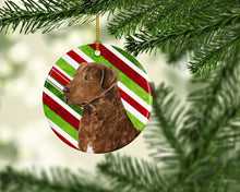 Load image into Gallery viewer, Chesapeake Bay Retriever Candy Cane Holiday Christmas Ornament - Round Ceramic Ornament – Artist-Designed Keepsake Decoration SS4600