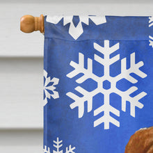 Load image into Gallery viewer, Sussex Spaniel Winter Snowflakes Holiday Flag Canvas House Size