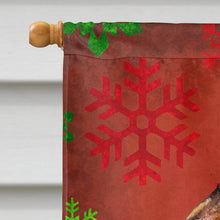 Load image into Gallery viewer, Brussels Griffon Red Green Snowflakes Holiday Christmas Flag Canvas House Size