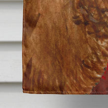 Load image into Gallery viewer, Sussex Spaniel Red Green Snowflakes Holiday Christmas Flag Canvas House Size