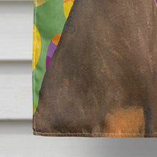Load image into Gallery viewer, Doberman Easter Eggtravaganza Flag Canvas House Size