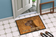 Load image into Gallery viewer, Field Spaniel Wipe your Paws Doormat - 24x36 Decorative Floor Mat – Indoor/Outdoor Rug with Artistic Flair SS4879JMAT