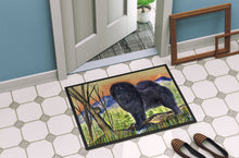 Load image into Gallery viewer, Chow Chow Doormat - 24x36 Decorative Floor Mat – Indoor/Outdoor Rug with Artistic Flair Doormat