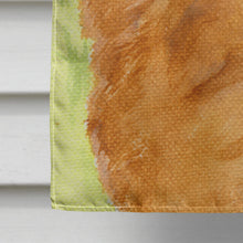 Load image into Gallery viewer, Chow Chow Flag Canvas House Size