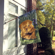 Load image into Gallery viewer, Dogue de Bordeaux Flag Canvas House Size
