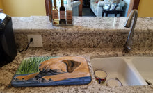 Load image into Gallery viewer, Bullmastiff Dish Drying Mat – Absorbent, Artistic Kitchen Essentials SS8033DDM