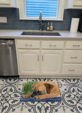 Load image into Gallery viewer, Bullmastiff Machine Washable Memory Foam Mat SS8033RUG