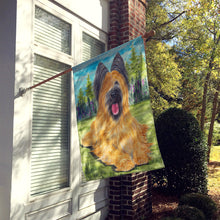 Load image into Gallery viewer, Briard Flag Canvas House Size