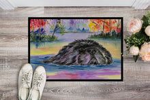 Load image into Gallery viewer, Newfoundland Doormat - 24x36 Decorative Floor Mat – Indoor/Outdoor Rug with Artistic Flair Doormat