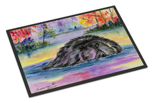 Load image into Gallery viewer, Newfoundland Doormat - 24x36 Decorative Floor Mat – Indoor/Outdoor Rug with Artistic Flair Doormat
