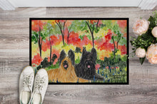 Load image into Gallery viewer, Briard Doormat - 24x36 Decorative Floor Mat – Indoor/Outdoor Rug with Artistic Flair Doormat