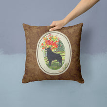 Load image into Gallery viewer, Schipperke Throw Pillow - 14x14 Decorative Pillow – Art for Your Home &amp; Patio SS8058PW1414