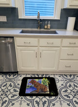 Load image into Gallery viewer, Boykin Spaniel Machine Washable Memory Foam Mat SS8065RUG