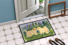 Load image into Gallery viewer, Golden Retriever Doormat - 24x36 Decorative Floor Mat – Indoor/Outdoor Rug with Artistic Flair Doormat