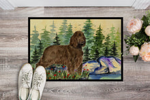 Load image into Gallery viewer, Field Spaniel Doormat - 24x36 Decorative Floor Mat – Indoor/Outdoor Rug with Artistic Flair Doormat