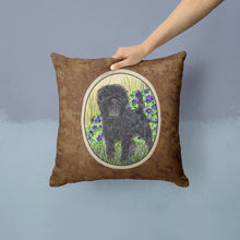 Load image into Gallery viewer, Affenpinscher Throw Pillow - 14x14 Decorative Pillow – Art for Your Home &amp; Patio