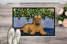 Load image into Gallery viewer, Briard Doormat - 24x36 Decorative Floor Mat – Indoor/Outdoor Rug with Artistic Flair Doormat