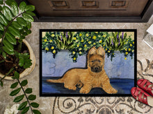 Load image into Gallery viewer, Briard Doormat - 24x36 Decorative Floor Mat – Indoor/Outdoor Rug with Artistic Flair Doormat
