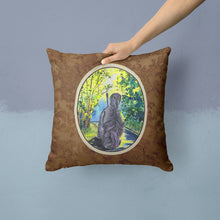 Load image into Gallery viewer, Afghan Hound Throw Pillow - 14x14 Decorative Pillow – Art for Your Home &amp; Patio