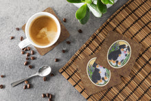 Load image into Gallery viewer, Bernese Mountain Dog Coasters - Set of 4 Lightweight Foam, Absorbent Drink Coasters