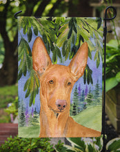 Load image into Gallery viewer, Pharaoh Hound Garden Flag – Decorative Outdoor Yard Flag