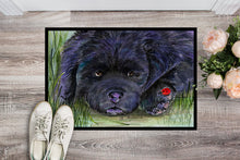 Load image into Gallery viewer, Newfoundland Doormat - 24x36 Decorative Floor Mat – Indoor/Outdoor Rug with Artistic Flair Doormat