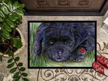 Load image into Gallery viewer, Newfoundland Doormat - 24x36 Decorative Floor Mat – Indoor/Outdoor Rug with Artistic Flair Doormat