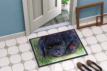 Load image into Gallery viewer, Newfoundland Doormat - 24x36 Decorative Floor Mat – Indoor/Outdoor Rug with Artistic Flair Doormat
