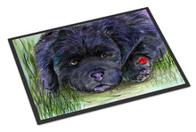 Load image into Gallery viewer, Newfoundland Doormat - 24x36 Decorative Floor Mat – Indoor/Outdoor Rug with Artistic Flair Doormat
