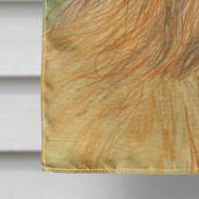 Load image into Gallery viewer, Briard Flag Canvas House Size