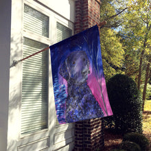 Load image into Gallery viewer, Starry Night Curly Coated Retriever Flag Canvas House Size