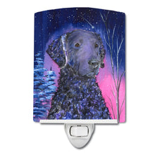 Load image into Gallery viewer, Starry Night Curly Coated Retriever Ceramic Night Light SS8354CNL