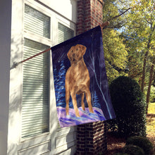 Load image into Gallery viewer, Starry Night Chesapeake Bay Retriever Flag Canvas House Size