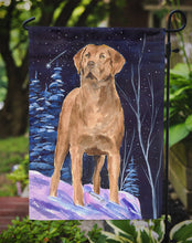 Load image into Gallery viewer, Starry Night Chesapeake Bay Retriever Garden Flag – Decorative Outdoor Yard Flag