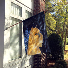 Load image into Gallery viewer, Starry Night Brussels Griffon Flag Canvas House Size