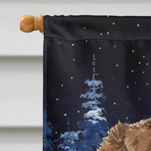 Load image into Gallery viewer, Starry Night Australian Shepherd Flag Canvas House Size