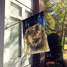 Load image into Gallery viewer, Starry Night Cat - Persian Flag Canvas House Size