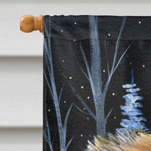 Load image into Gallery viewer, Starry Night Cat - Persian Flag Canvas House Size