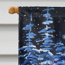 Load image into Gallery viewer, Starry Night Cane Corso Flag Canvas House Size