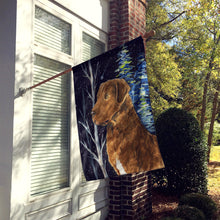 Load image into Gallery viewer, Starry Night Chesapeake Bay Retriever Flag Canvas House Size