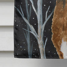 Load image into Gallery viewer, Starry Night Chesapeake Bay Retriever Flag Canvas House Size