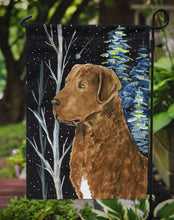 Load image into Gallery viewer, Starry Night Chesapeake Bay Retriever Garden Flag - Outdoor Decorative Yard Flag